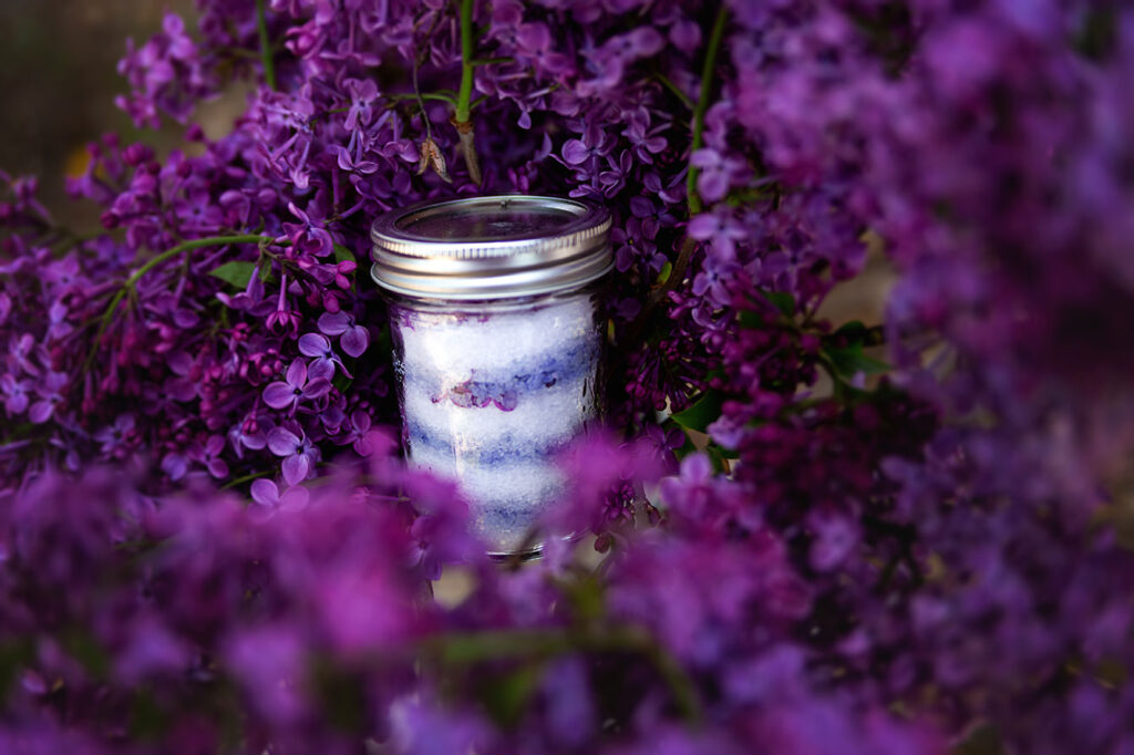 This image has an empty alt attribute; its file name is lilac-bath-salts-gift-vibrant-purple-different-uses-of-lilacs-1024x682.jpg
