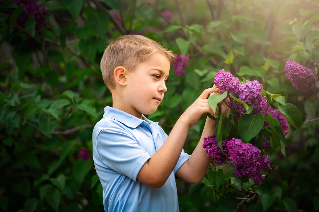 This image has an empty alt attribute; its file name is little-boy-admiring-nature-lilacs-sunlight-beams-1-1024x682.jpg